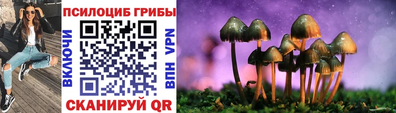 Галлюциногенные грибы прущие грибы  Сковородино 